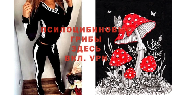 прущий лед Абаза