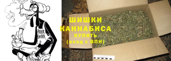 прущий лед Абаза