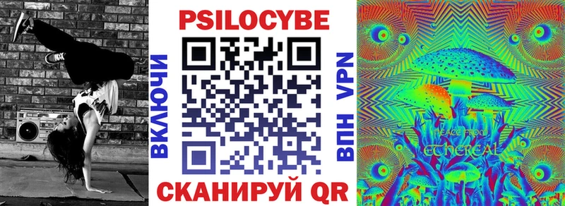omg ССЫЛКА Щёкино Галлюциногенные грибы мицелий